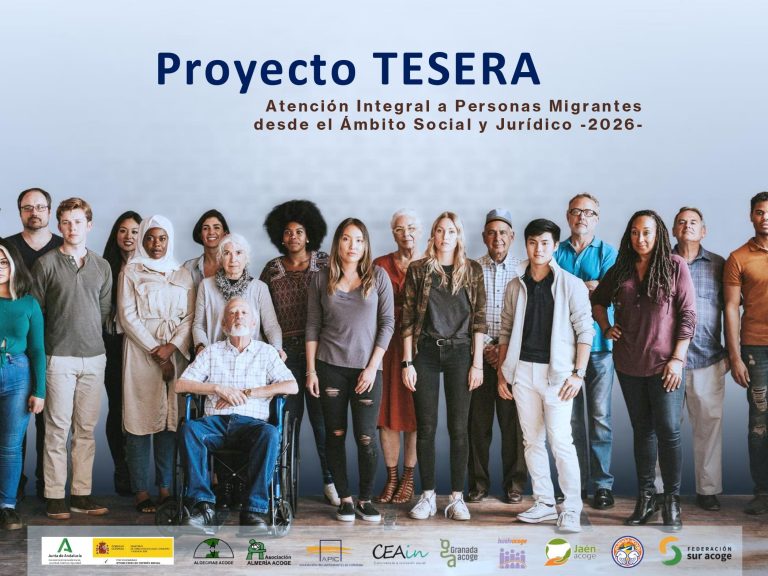 proyecto tesera